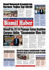 BİSMİL HABER