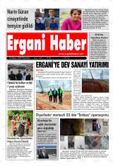 ERGANİ HABER