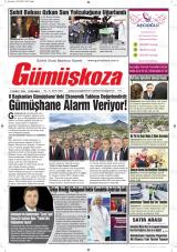 GÜMÜŞKOZA