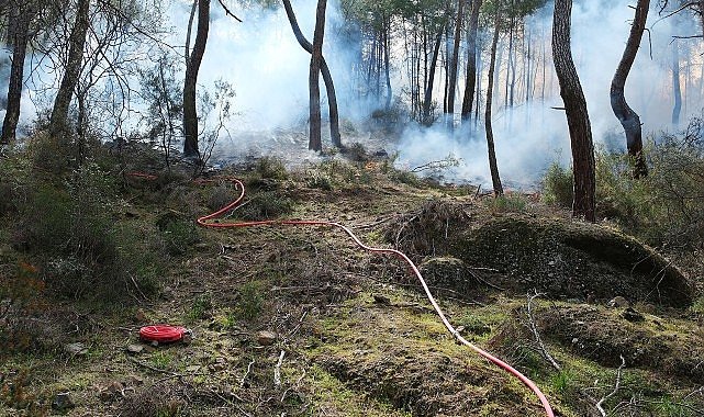Kemer Belediyesi yangına karşı seferber oldu