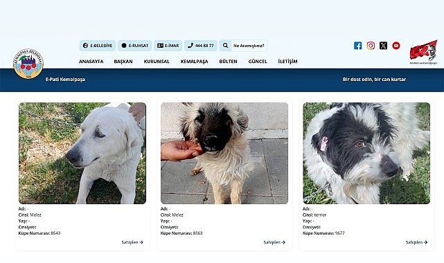Sıcak Yuvalara Dijital Köprü: E-Pati Kemalpaşa