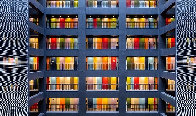 Sony dünya fotoğraf ödülleri: açık yarışma kategori kazananları ve kısa listeler belirlendi