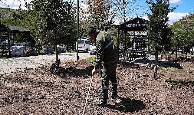 Kartaltepe Mesire Alanı Yaza Hazırlanıyor