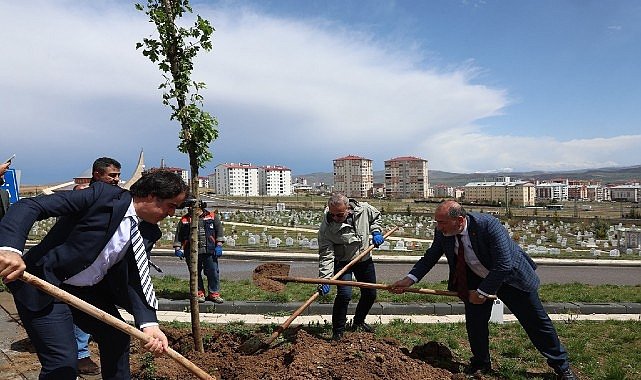 Minik Meleklerin Mezarlarında Anlamlı Düzenleme