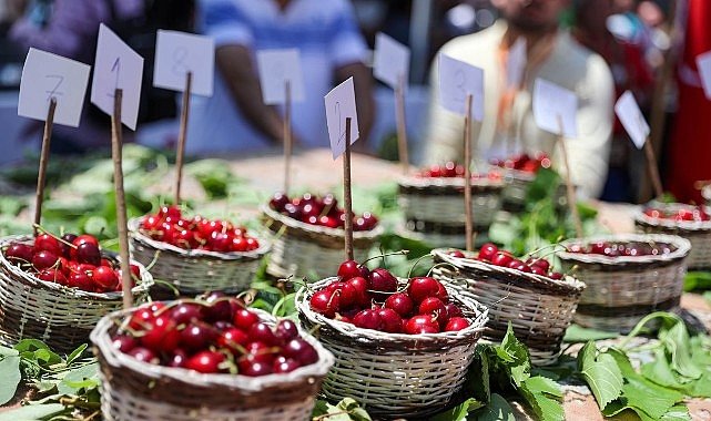 Başkan Görkem Duman’dan Kiraz Festivali’ne davet