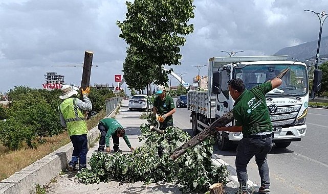 Fırtınanın Zarar Verdiği Ağaçlar Kaldırıldı