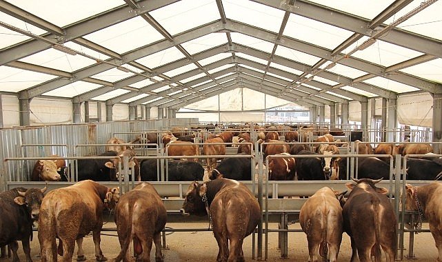 İBB’den Kurban Bayramı İçin 4 Modern Tesis