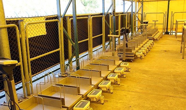 İstanbul Kurban Bayramı’na hazırlanıyor