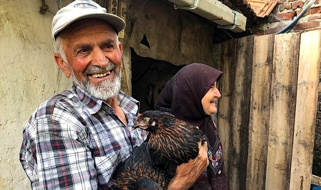 Üreticiye yüzde 50 hibeli yumurta tavuğu desteği