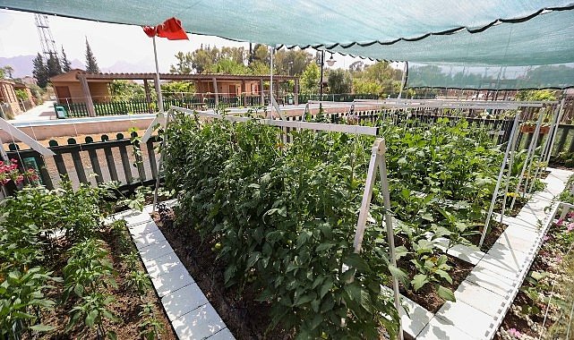En Güzel Tasarım ve Uygulama Yarışması’nda ödüller sahiplerini buldu