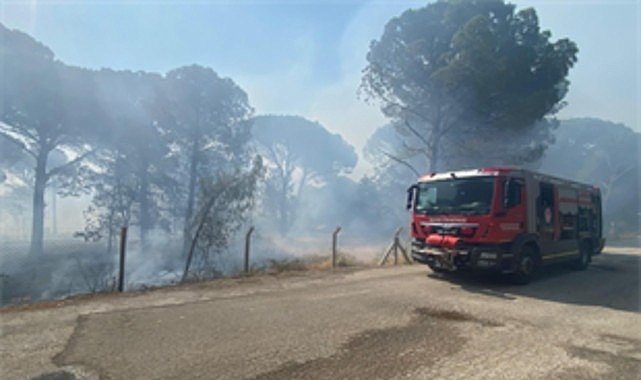 Bergama’da orman yangınına müdahale ediliyor
