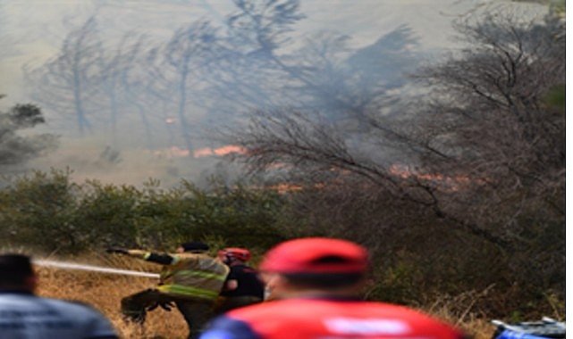 Bornova Gökdere’de yangınla mücadele sürüyor