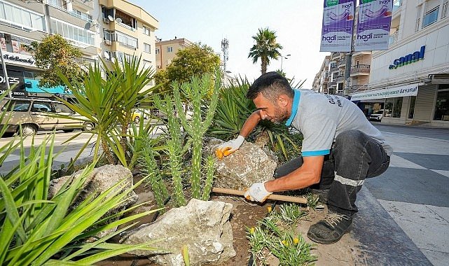 Gaziemir Belediyesi’nden kurakçıl peyzaj hamlesi