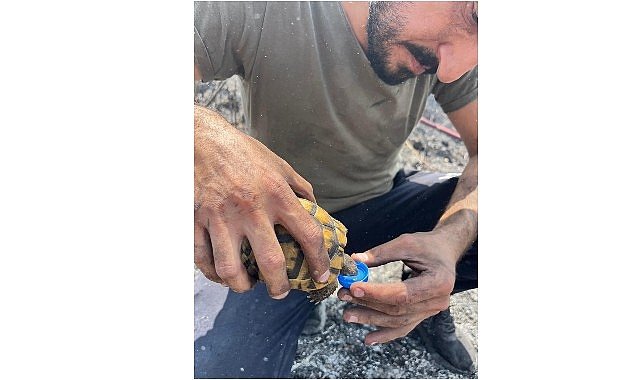 Alevlerin ortasında bir damla hayat