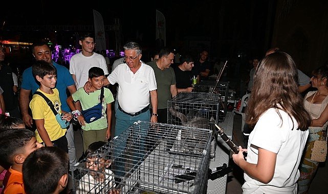 Kemer’de sokak hayvanları yararına ikinci konser
