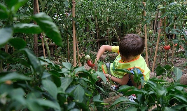 Lokomotif Çocuk Köyü’nde hasat sevinci