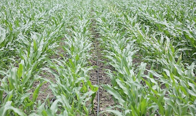 PepsiCo Suyun Geleceğini Koruma Konusunda Kararlı Adımlar Atmaya Devam Ediyor