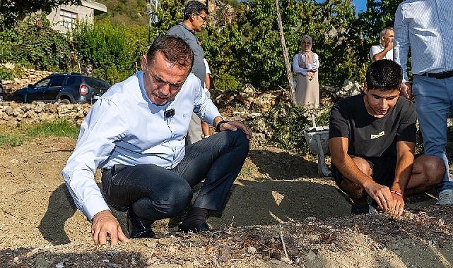 Yenişehir Belediyesinin hibe ettiği safran soğanları toprakla buluştu