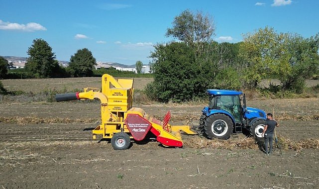 İnegöl’ün Cerrah Kuru Fasulyesinde Hasat Zamanı