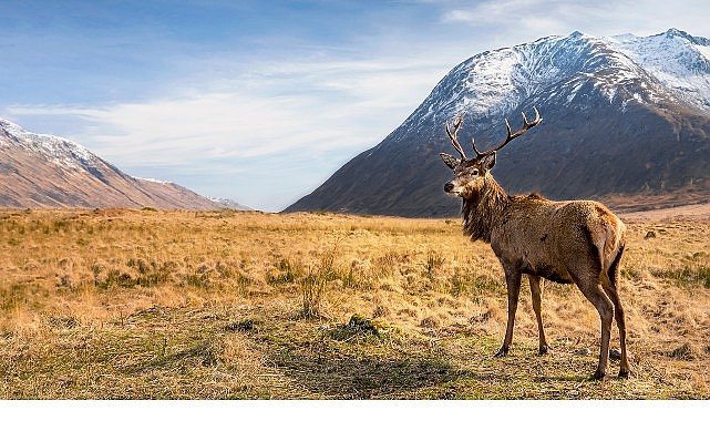 6 Bölümlük Seri ‘Avrupa’nın Vahşi Harikaları’, 15 Kasım’dan İtibaren Cumartesi Günleri 20.00’de İki Bölüm Art Arda National Geographic WILD Ekranlarında!