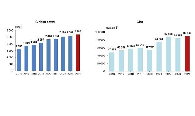 Yurt Dışında Kontrol Edilen Girişim İstatistikleri, 2024