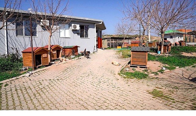 Başkan Yetişkin: “Artık çöpe giden yemekler can dostlarımız için mamaya dönüşüyor”