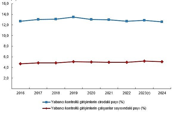 Yabancı Kontrollü Girişim İstatistikleri, 2024