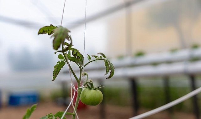 Yenişehir’den eğitime ‘Yeşil’ destek