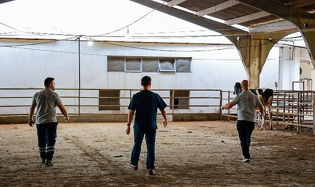 Büyükşehir’in kurban yakalama timi göreve hazır