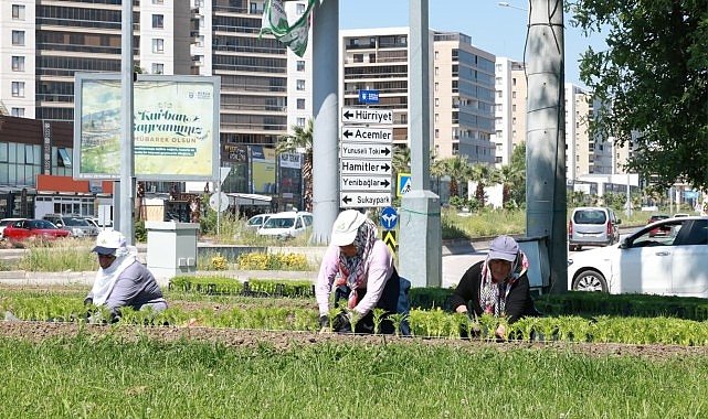 Bu Yaz Osmangazi’de Çiçek Kokuları Eksik Olmayacak