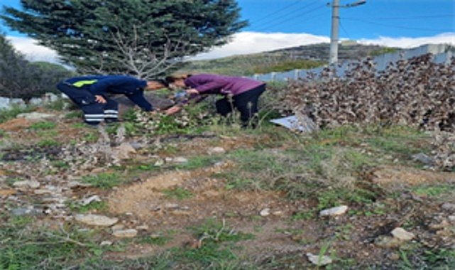 Büyükşehir tasarrufta rekor kırdı