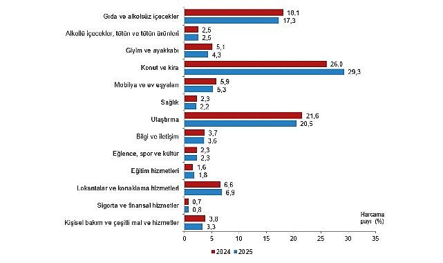 Hanehalkı Tüketim Harcaması, 2025